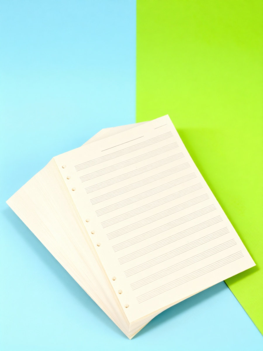 100 Sheets Music Manuscript Pa - Blank Sheet Music Notebook recension och pris